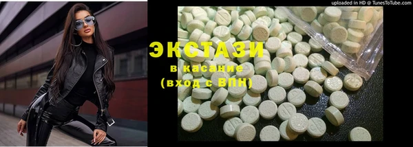гашик Алексин