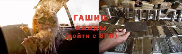 гашик Алексин
