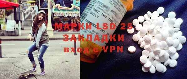 PSILOCYBIN Алзамай