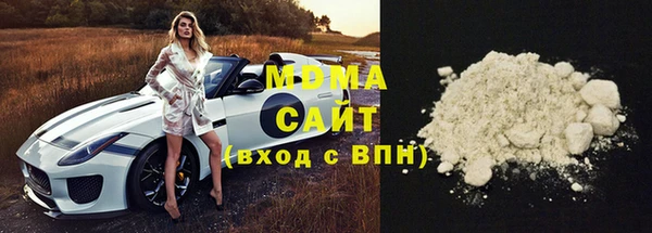 гашик Алексин