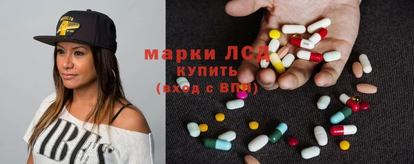 PSILOCYBIN Алзамай