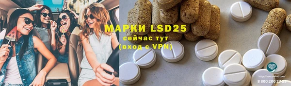 PSILOCYBIN Алзамай