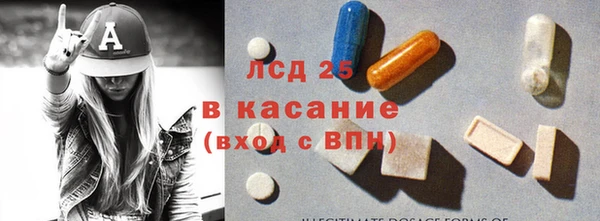 PSILOCYBIN Алзамай